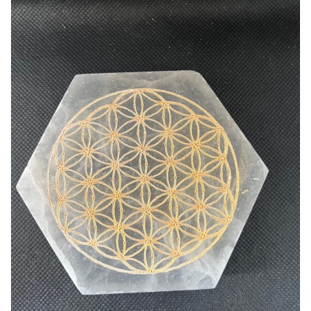 Plaque en Sélénite Hexagonale Fleur de Vie Dorée – Purification, Rechargement & Harmonie Énergétique